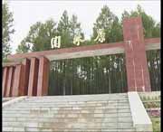 新林天气预报7天