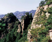 开原天气预报60天