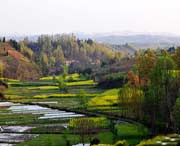 洋县天气预报10天