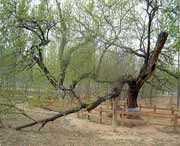 夏津天气预报7天