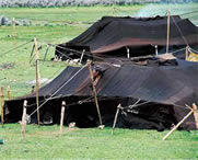 左贡天气预报10天