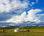 清水河天气预报40天