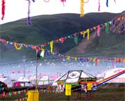 曲麻莱天气预报10天