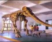 合水天气预报10天