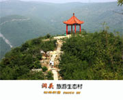 洞头天气预报10天