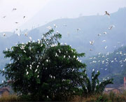 龙泉天气预报60天