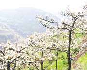 五河天气预报10天