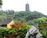 蒙城天气预报10天