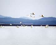 东至天气预报10天