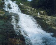 长泰天气预报40天