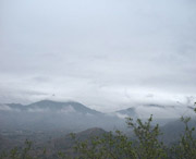 诏安天气预报40天