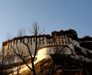 进贤天气预报10天