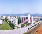 新余天气预报10天