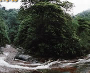 习水天气预报15天