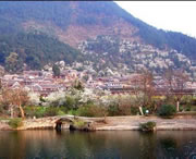 贵定天气预报15天