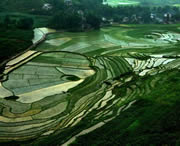 贞丰天气预报10天