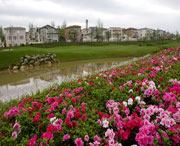 双流天气预报60天