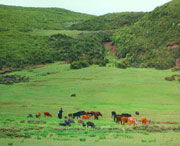 昭觉天气预报10天