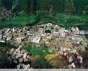 九龙天气预报40天